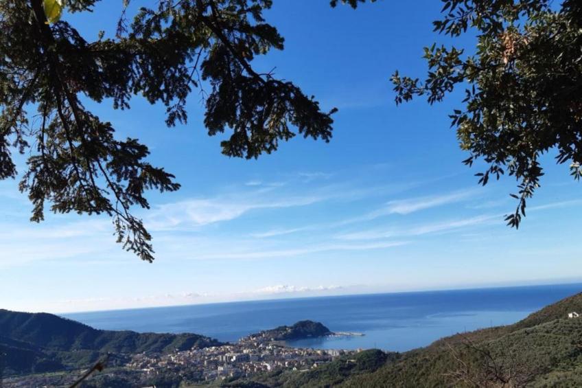 Gromoletta - foto 39