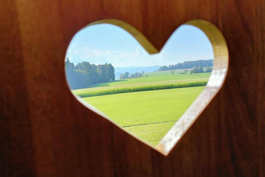 Zirkuswagen vom Sommerhof - foto 5