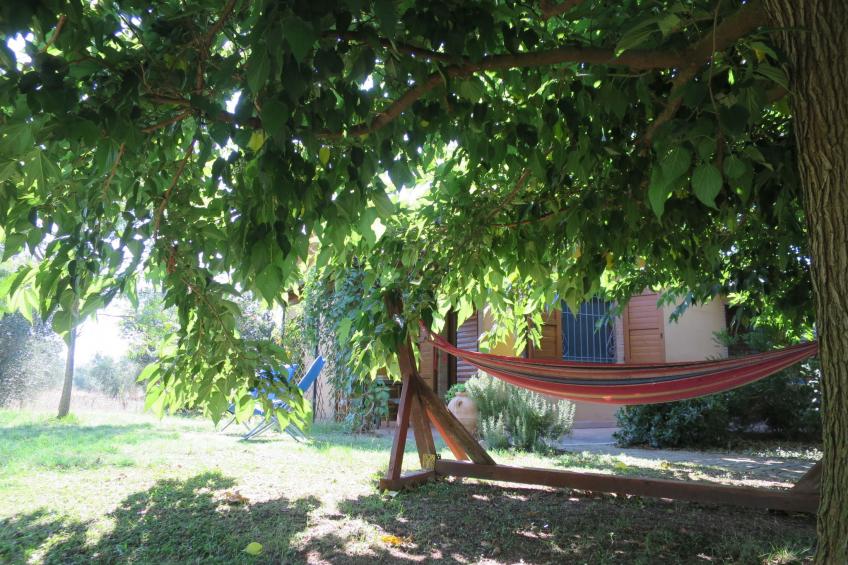 Agriturismo Podere Noé (ROC420) - foto 19