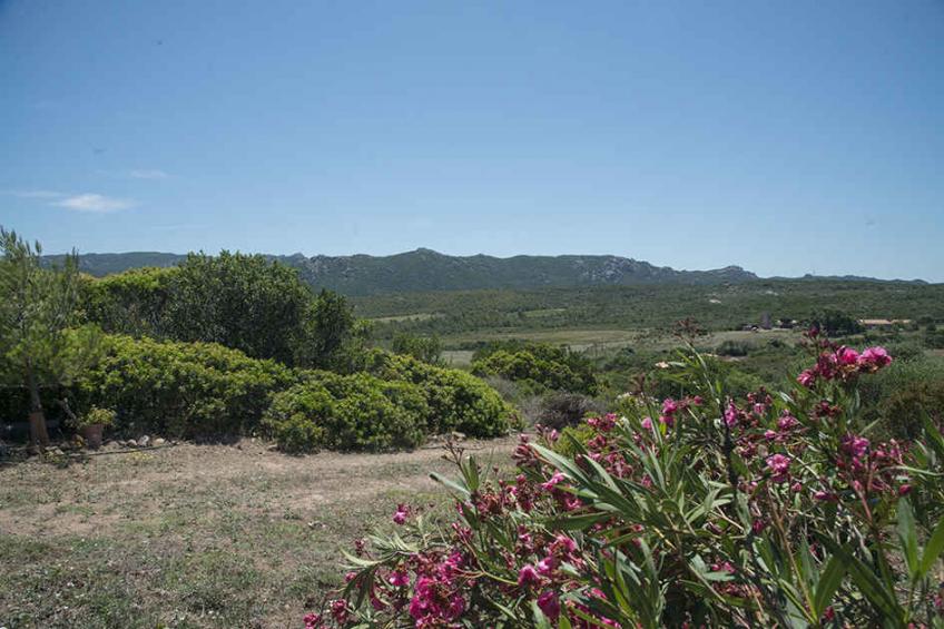 Finca zum Abschalten in Miitten der Natur - BF-CH6HD - foto 28