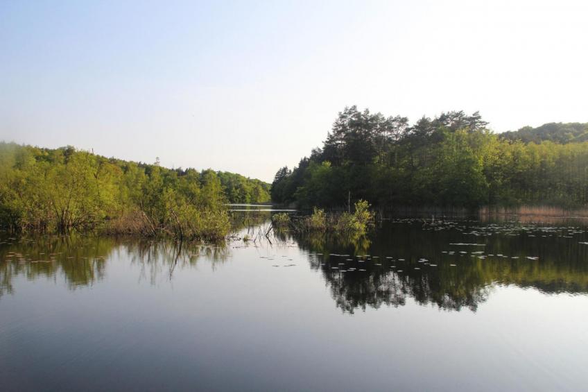 Doppelhaushälfte, Kolczewo - foto 19