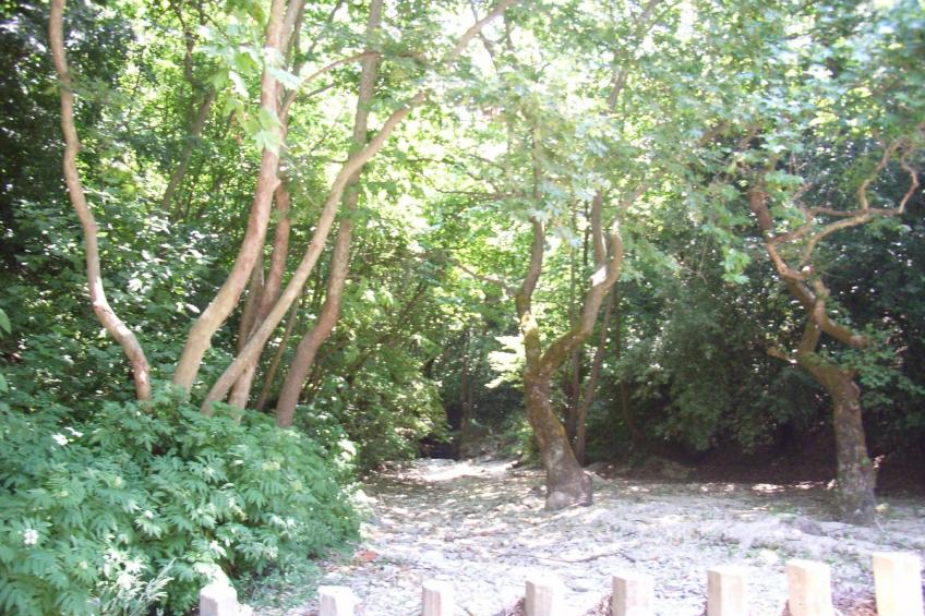 Villa Symeon - foto 26