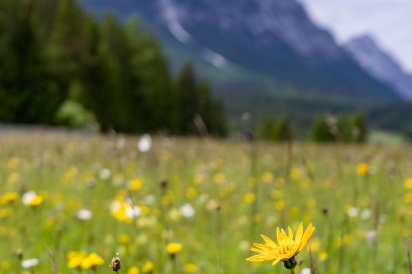 Appartement "Freiraum" - foto 20