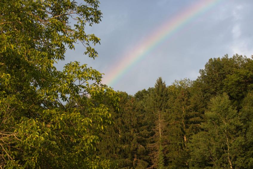 Chateau Duplex Ferme - foto 3