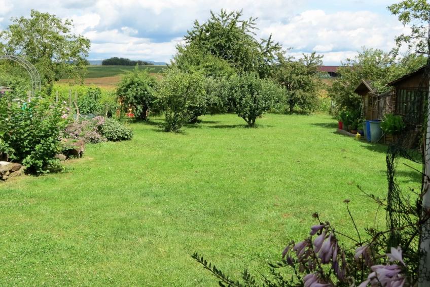 Gemütliches Appartement in Betschdorf - foto 15