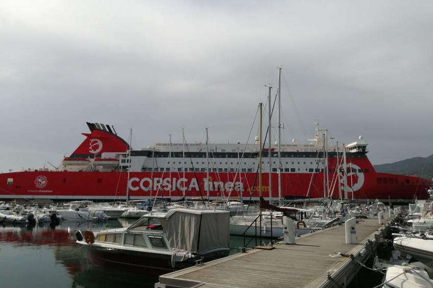 Corse du Sud 10mn von den Stränden entfernt - Olmeto App 4P - foto 21