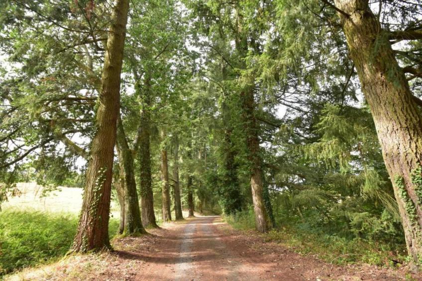 Gite 6 pers Bellevue - foto 37