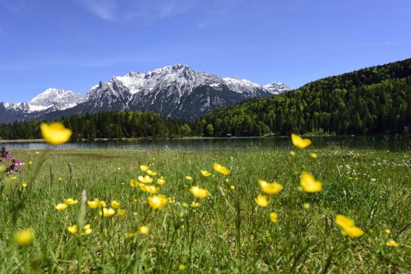 Haus Rosenwirth - foto 29