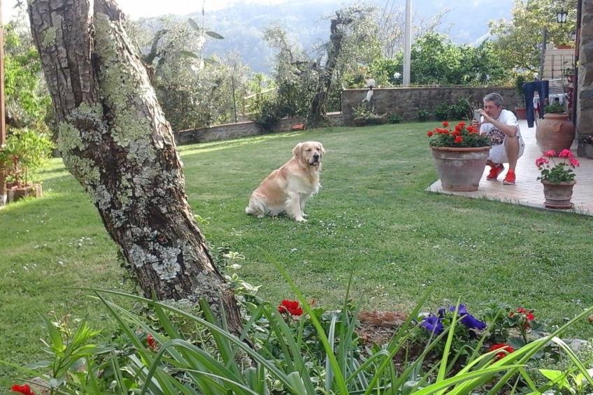 Die Scheune von Penelope - foto 27