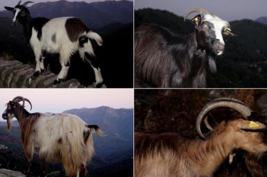 Wohnung mit allem Komfort Strand zu Fuß - foto 46