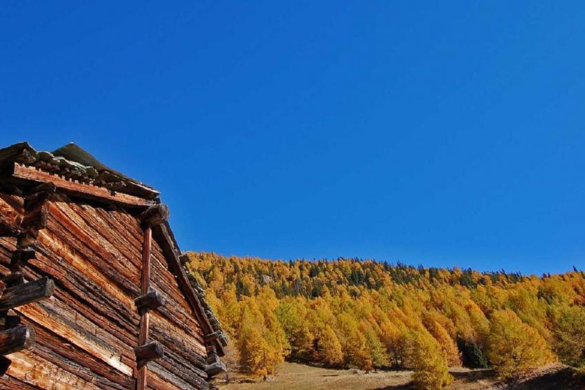 Chalet Nid d'Aigle - Mayen zu vermieten in Wallis - foto 14