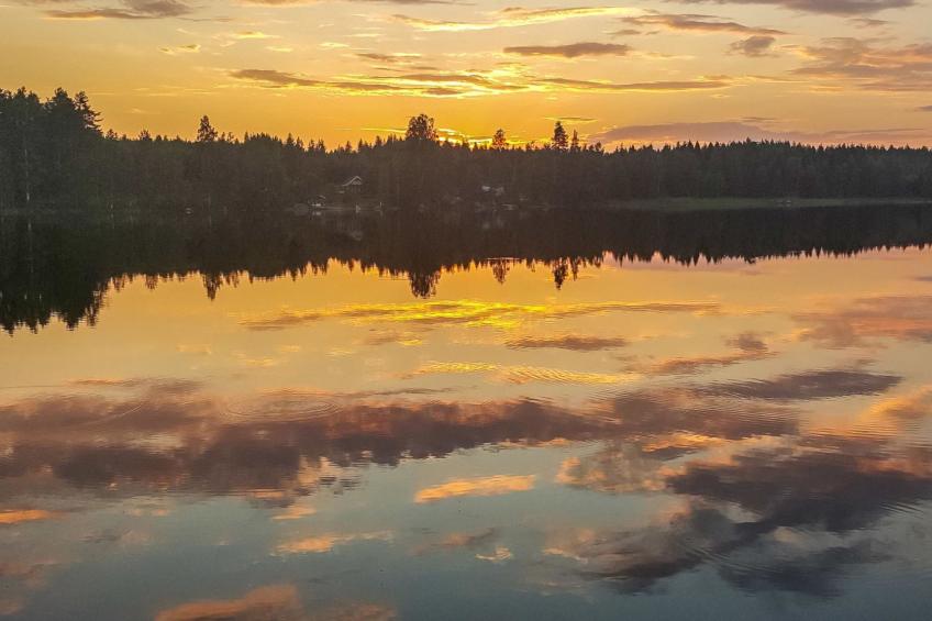 Heituinlahti, mäntyniemi - foto 25