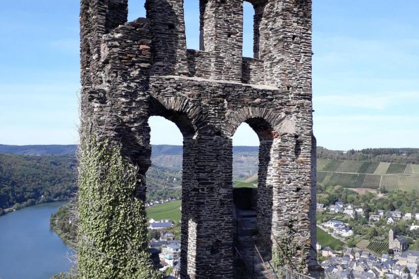 Würzgarte - foto 52