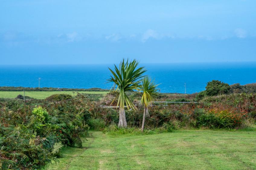 Western Watch - foto 27