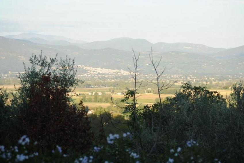 Wohnung im Agrotourismus in Bevagna - foto 17
