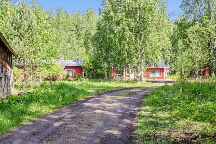 Mäntylä - foto 6