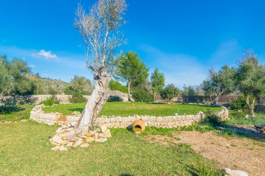 Can Colomer Ferragut - foto 31