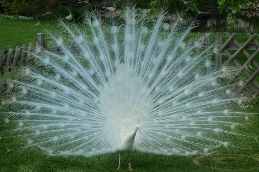 "Au Bas Chalonge Gîte" - foto 19