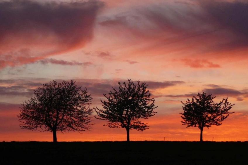 Holzhaus Andi - foto 20