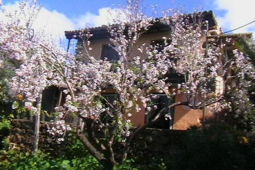 Bio Finca Los Hondos