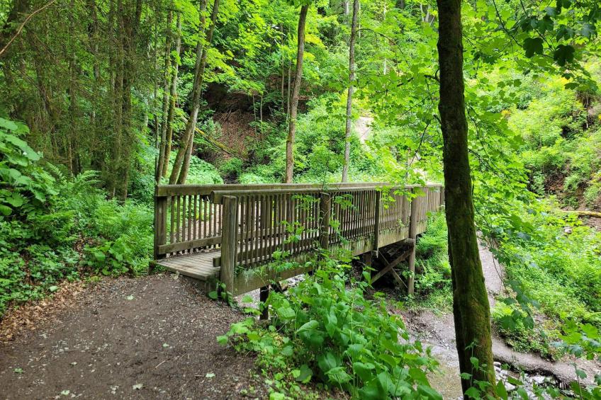 Am Südhang 11 - foto 32