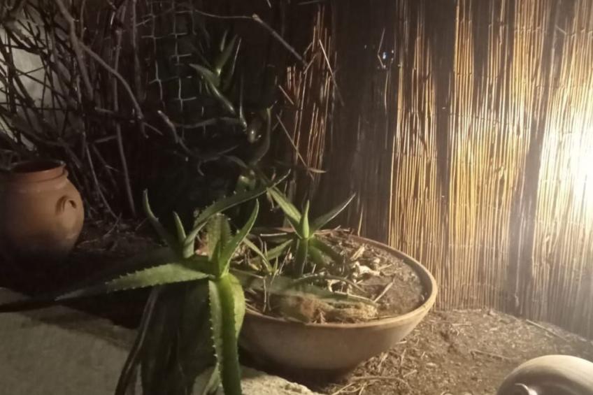 Entspannung am Meer in der Nähe von Neapel - foto 13