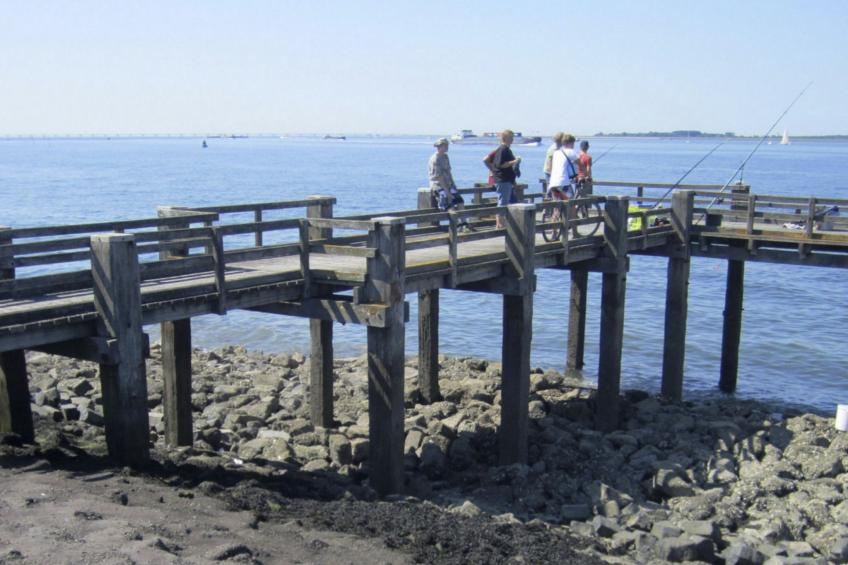 am Meer in Zeeland - foto 20