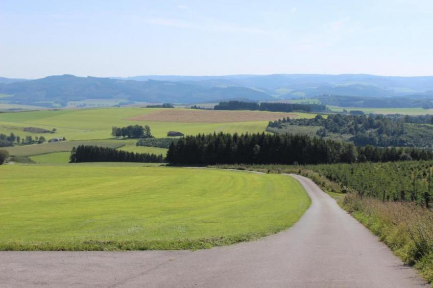 Eslohe - foto 36