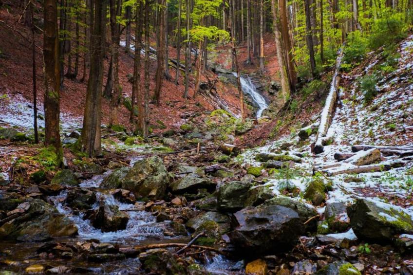 Frieda Rossa - foto 34