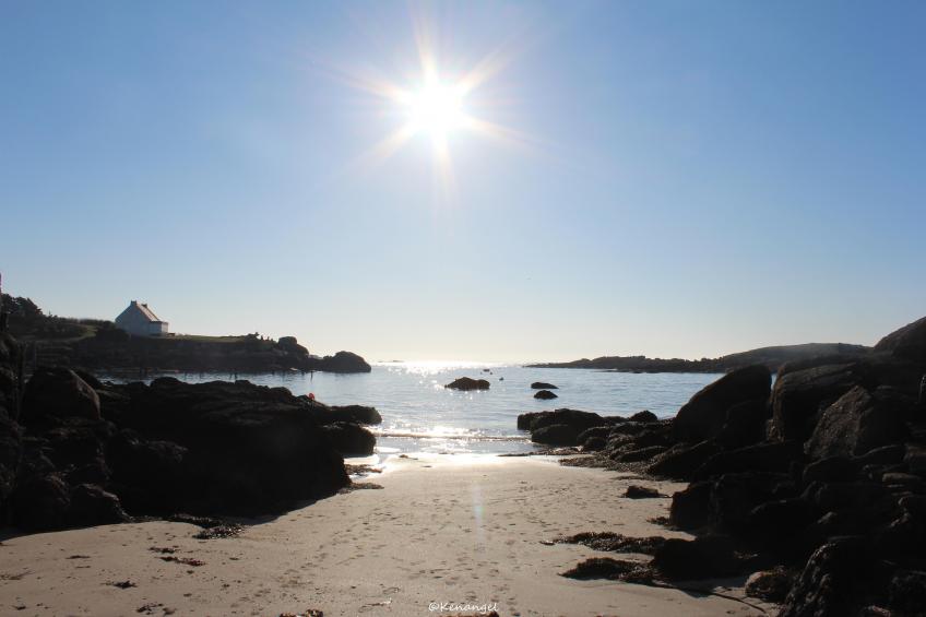 Doppelhaushälfte in Milizac - foto 32