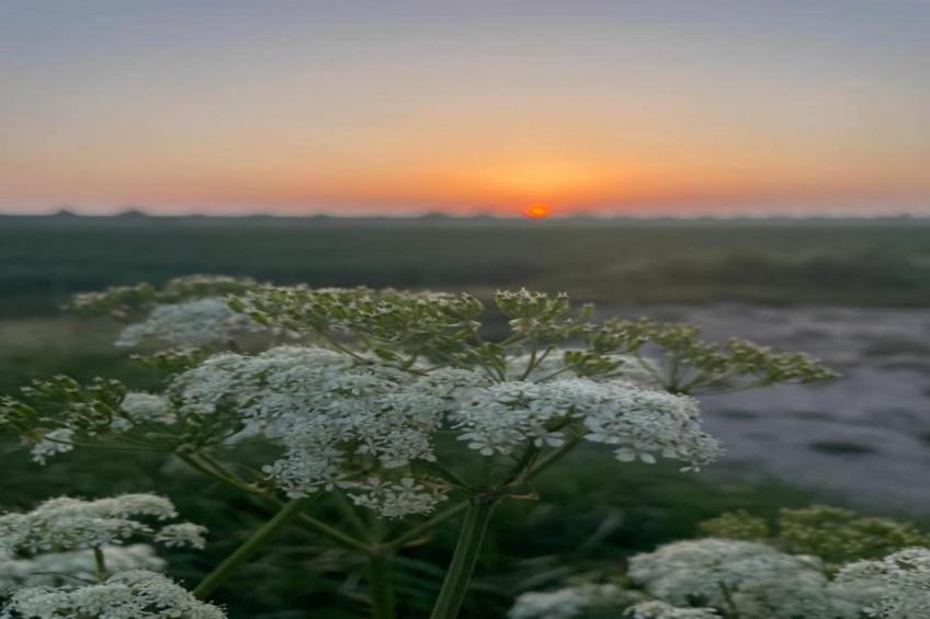 B&B de Gouwe Tijd - foto 27