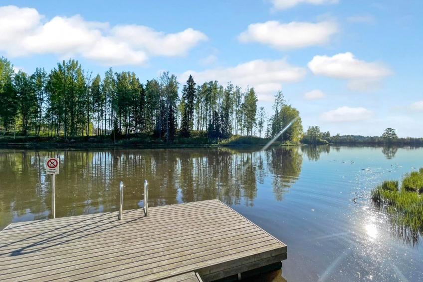 Satakieli, seeteri - foto 3