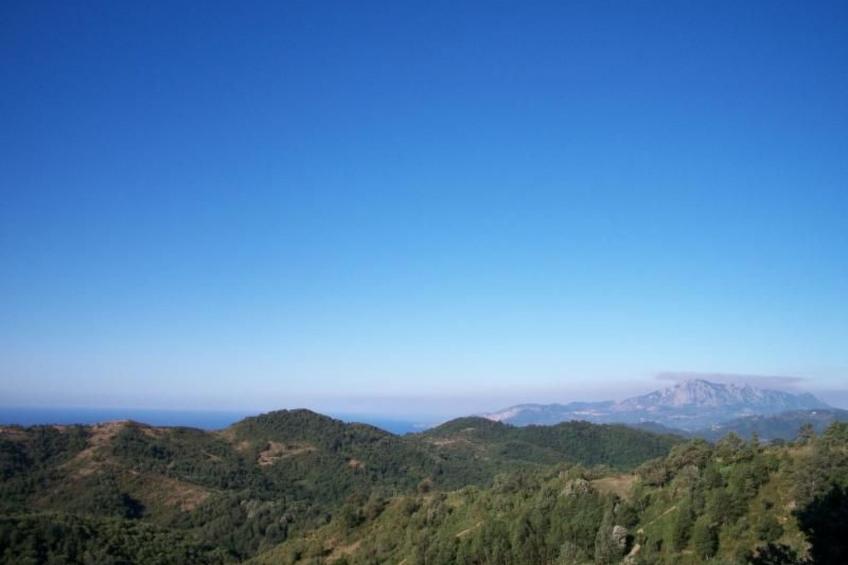 Scuola Vecchia - foto 9