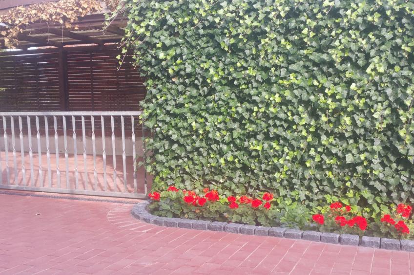 Lüneburger Nord - foto 6