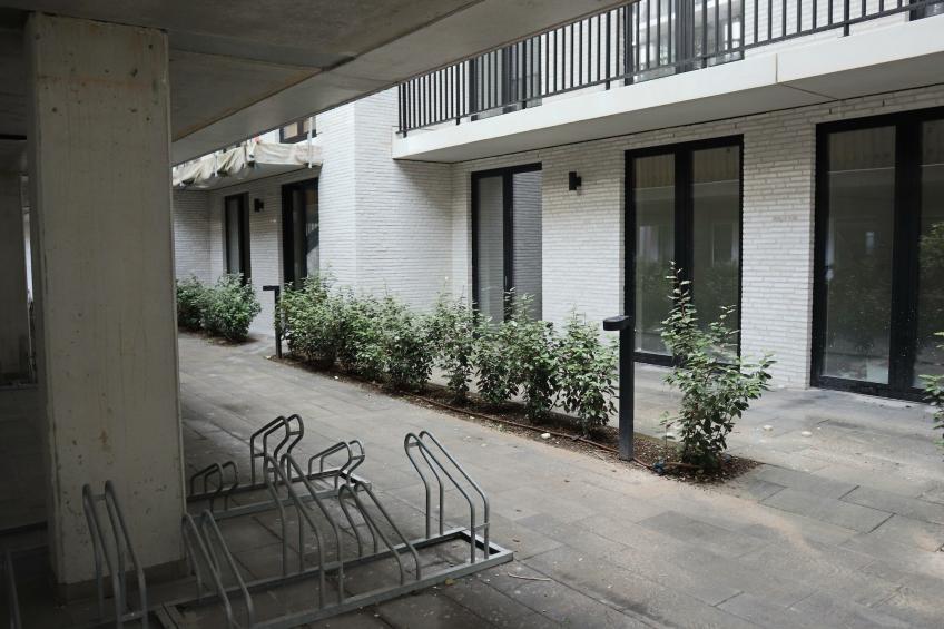 THE GREEN 0001PK - foto 17