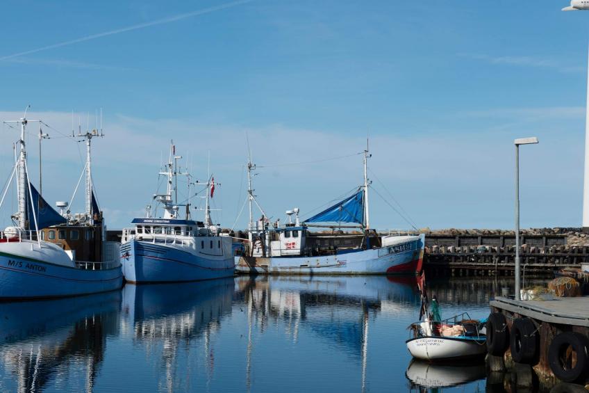 3 room,ground floor or 1. - foto 59