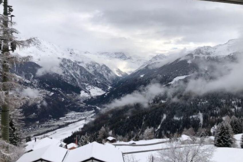 Le Rêve de nos Petites Marmottes - foto 11