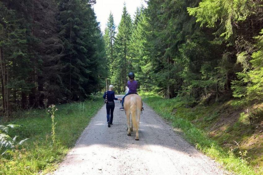 Appartement in Vordorfermühle mit Garten - foto 24