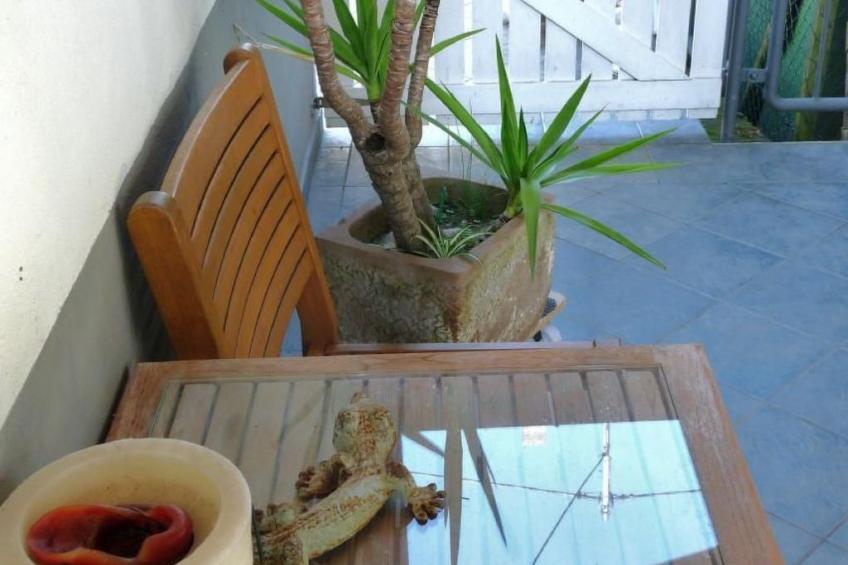 Wohnung in Brauneberg mit Terrasse und Garten - foto 16