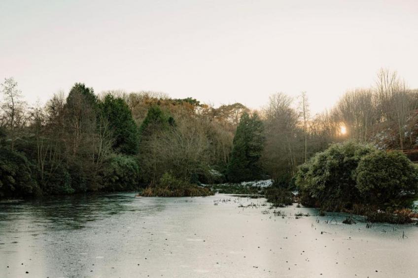 Ingleside Cottage - foto 21