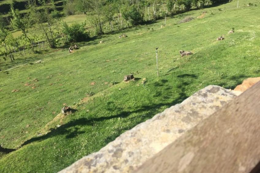 Villa mit Garten, Grill und Terrasse - foto 50