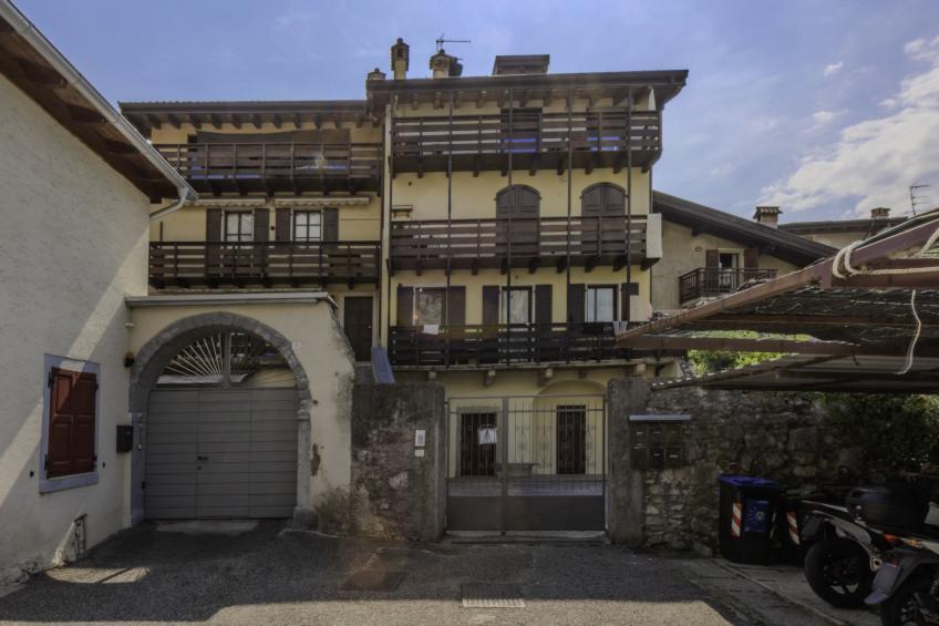Edera - foto 19