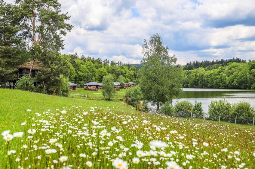 Le Domaine des MonÃ©diÃ¨res - Chalet 3 piÃ¨ces 6 personnes - foto 36