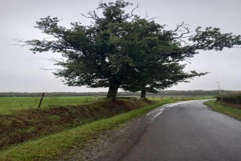 La Pierraille - foto 32