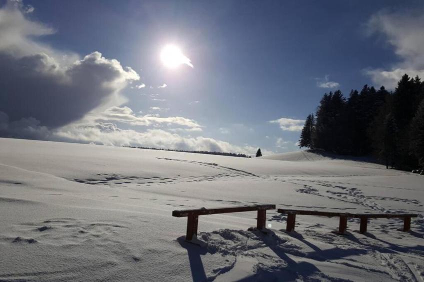Im Hotzenwald - foto 40