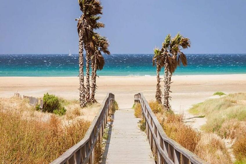 4662-+34657932478 - foto 35