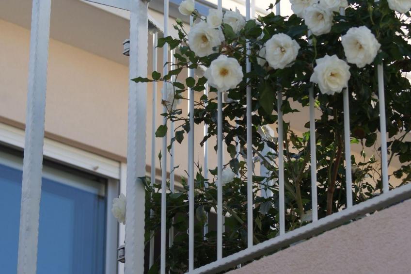 Erdgeschosswohnung mit Terrasse und Meerblick - foto 9