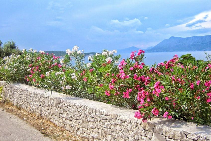 Apartments Gracin - Studio Apartment with Terrace (A4) - foto 13