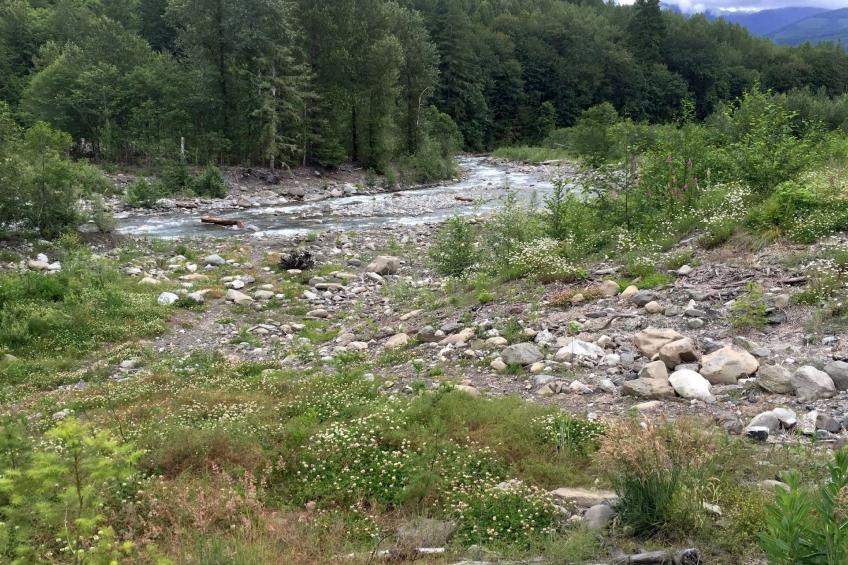 Neues modernes rustikales Haus mit AC, Whirlpool, Haustiere OK - foto 24