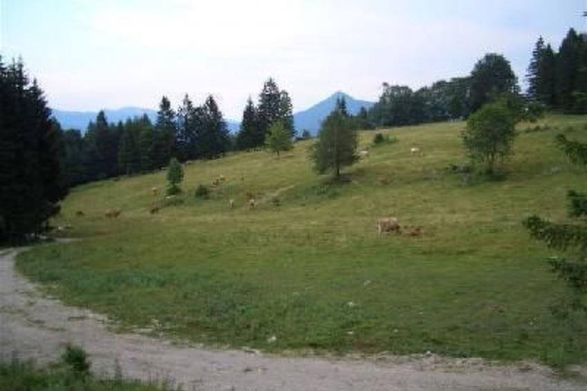 Haus König FEWO - foto 9